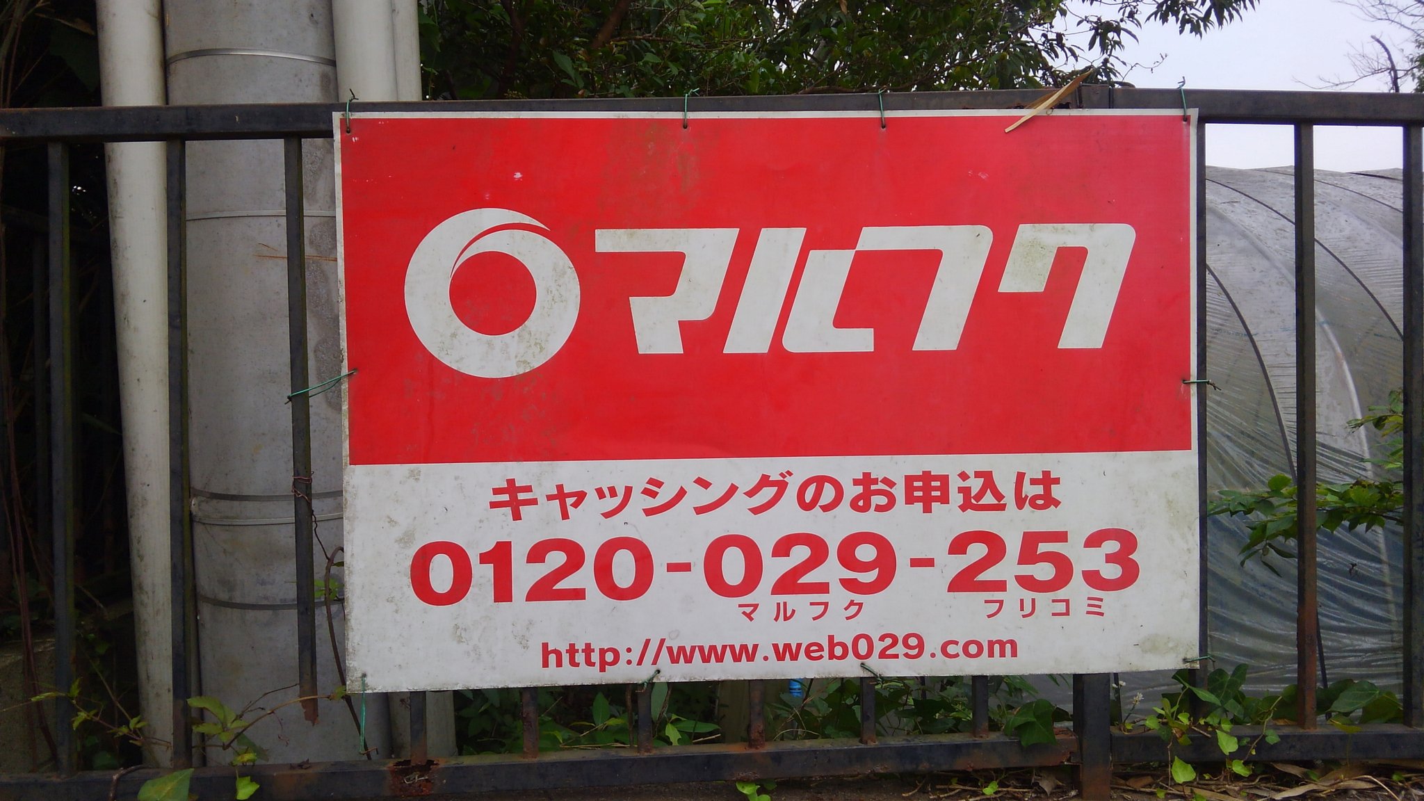 としぞう 創刊号299円 監督 桜美かつし 感のある看板 ふらいんぐうぃっち T Co Sscfxqgsqd Twitter