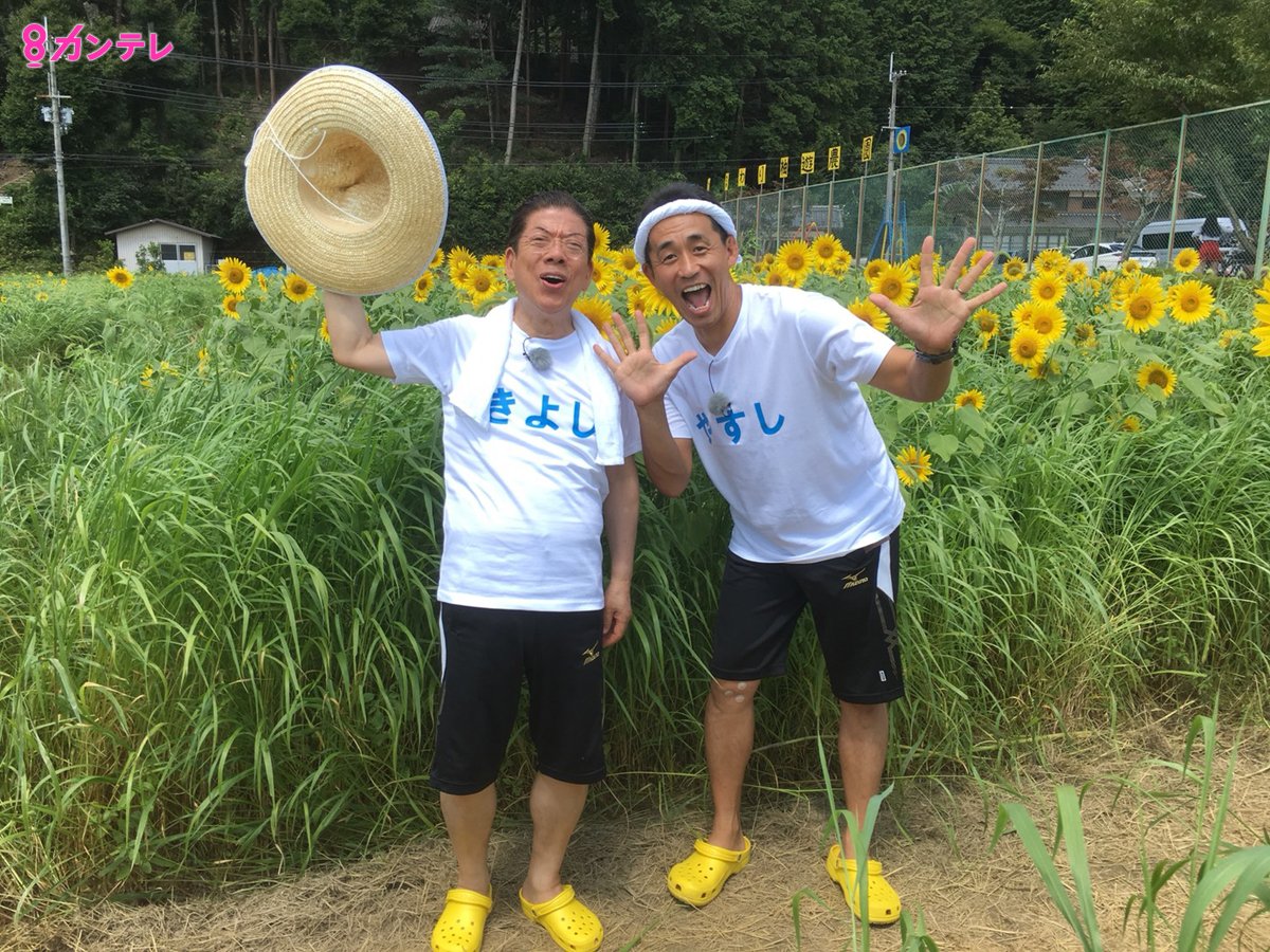 やすき よ の 夏休み 2019