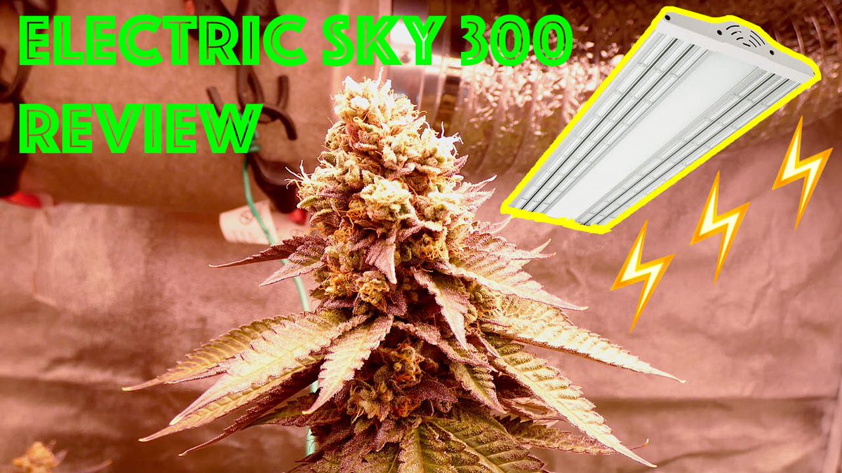 GreenBoxGrown's tweet photo. β‘οΈπ©Check out my Grow Report Review of the #ElectricSky 300w LEDπ©β‘οΈ In this FREE video I give a weekly update on my #nukeheads grow series from start to #harvest showing how they are doing under these #LED lights by @thegreensunshineco π₯¦ππΌπ₯ ENJOY!
#homegrown #mmj #bud https://t.co/qIG3goSJGG