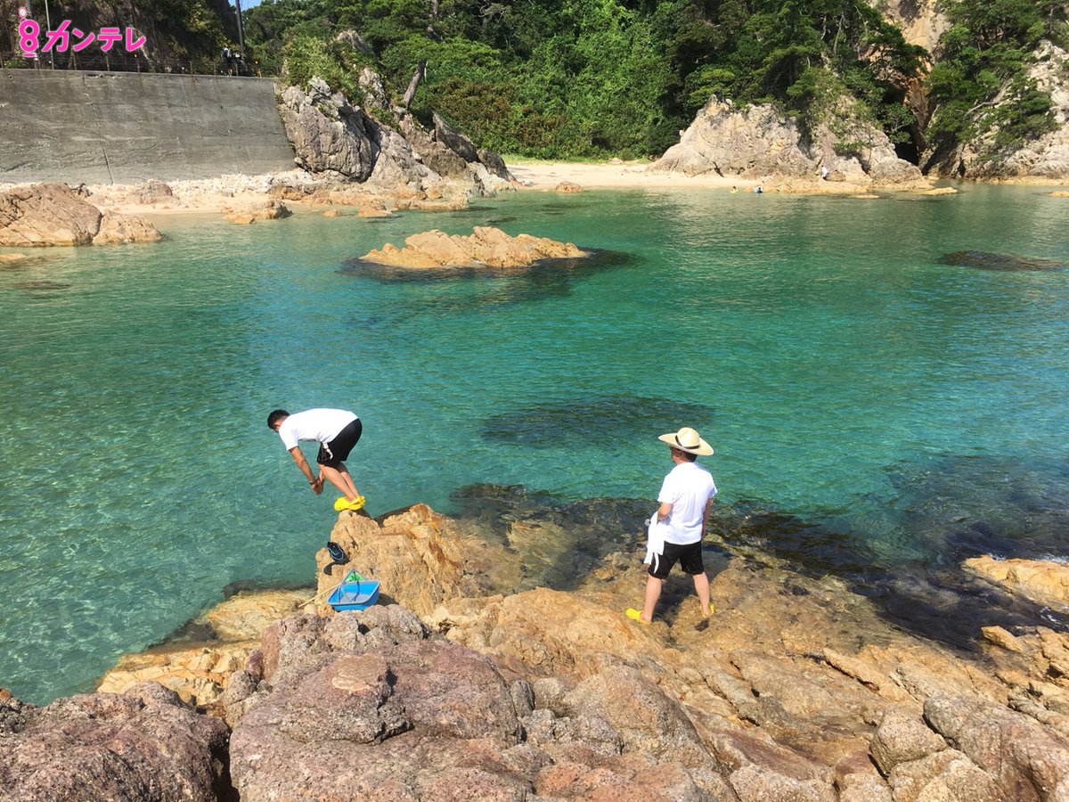 やすき よ の 夏休み 2019