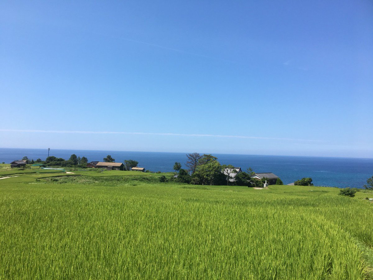 やすしきよしの夏休み
