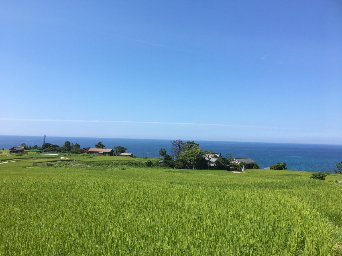 やすき よ の 夏休み 2019