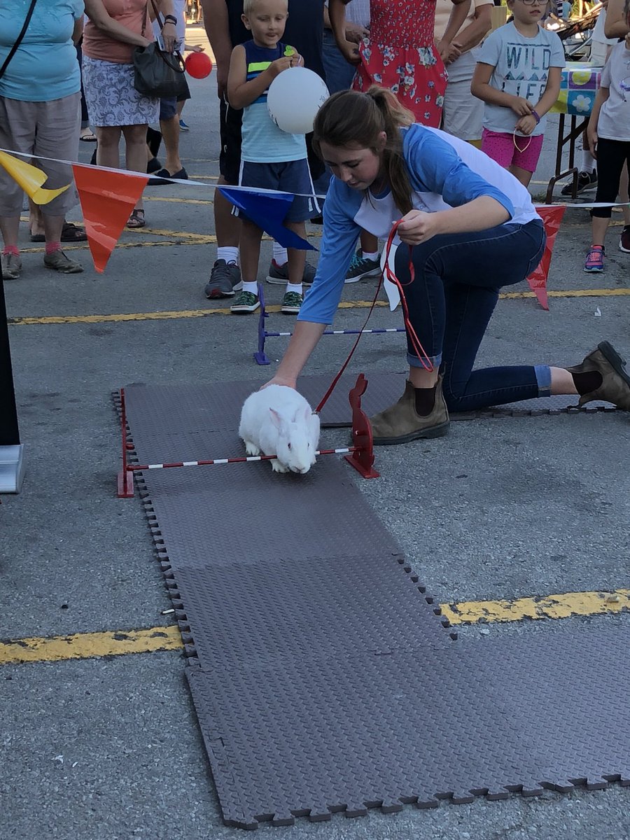 lindsaybebs's tweet photo. An awesome first show from the @Peel4H Rabbit Hopping Club!!! Check us out again at the @BramptonFair and the @Boltonfallfair in September! #4His4me #MidnightMadness https://t.co/G3omVJz0R8