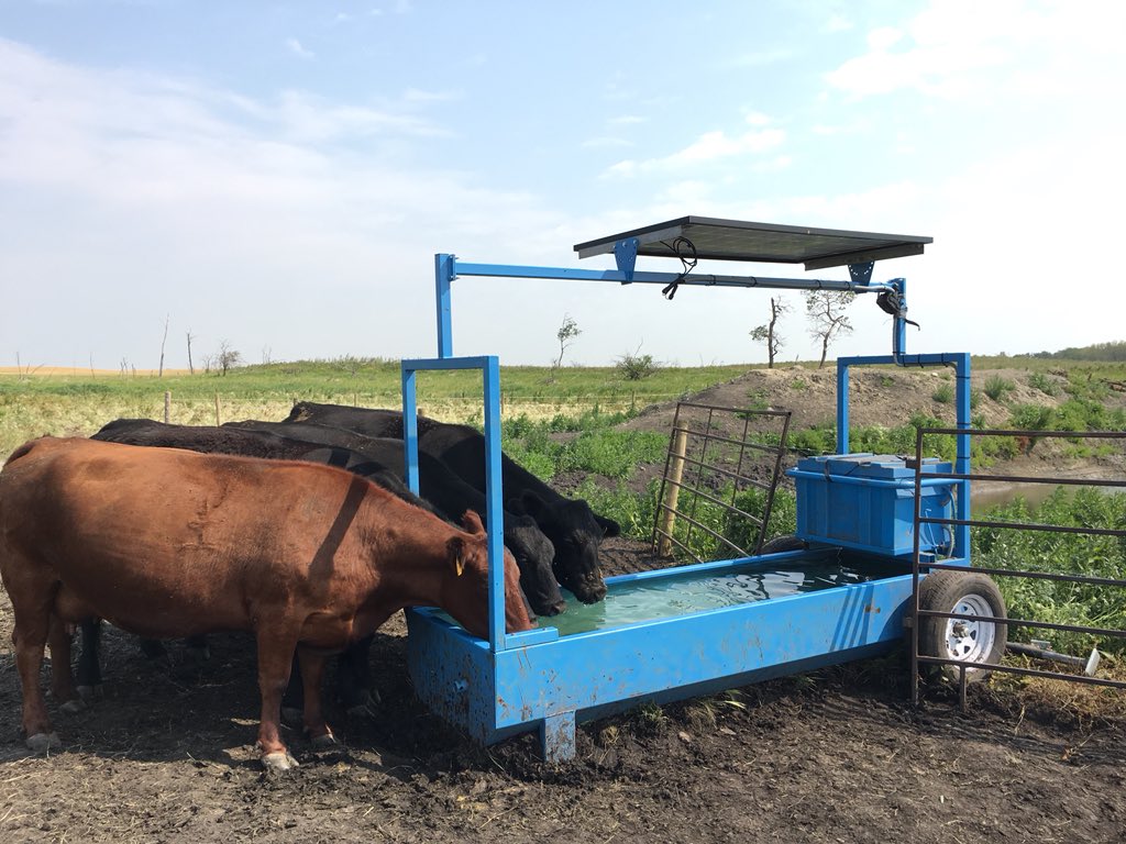 khextall's tweet photo. We spend less time and check the water more often. This week we added a #Spypoint trail cam to our #SundogSolar watering system and receive pictures on our cellphones. Keeps a close watch on 35 degree days. #Animalcare #CdnAg. https://t.co/LbBorFBBBG