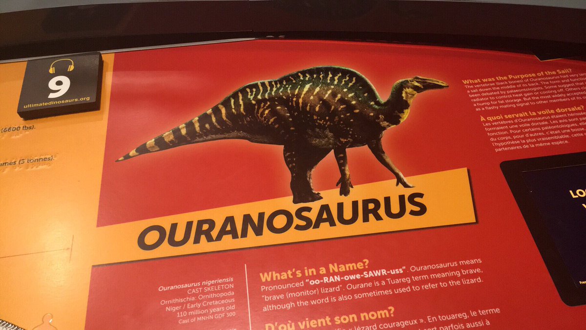 sally ✨ tweet media