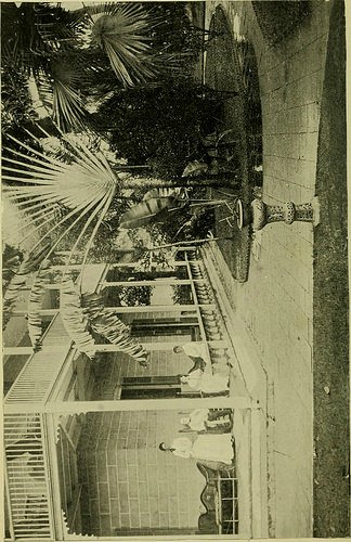 CommonsBot tweet media