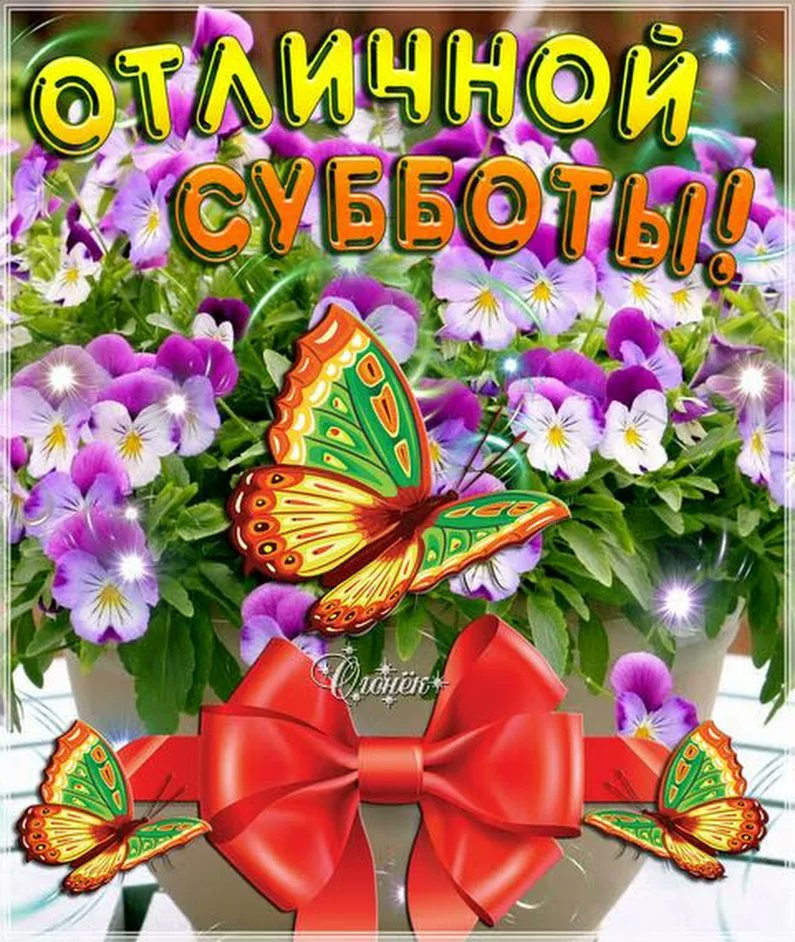 Картинки анимация с доброй субботой, гуси