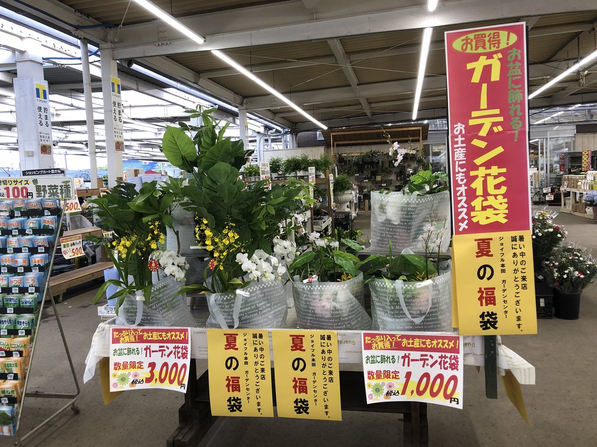ジョイフル本田 ガーデンセンター 幸手店ガーデン館 埼玉 ガーデンセンターレジ前では お花や観葉植物が入った福袋を 販売中 ガーデン雑貨も忍ばせてあるかも お盆休み 帰省の手土産 花袋