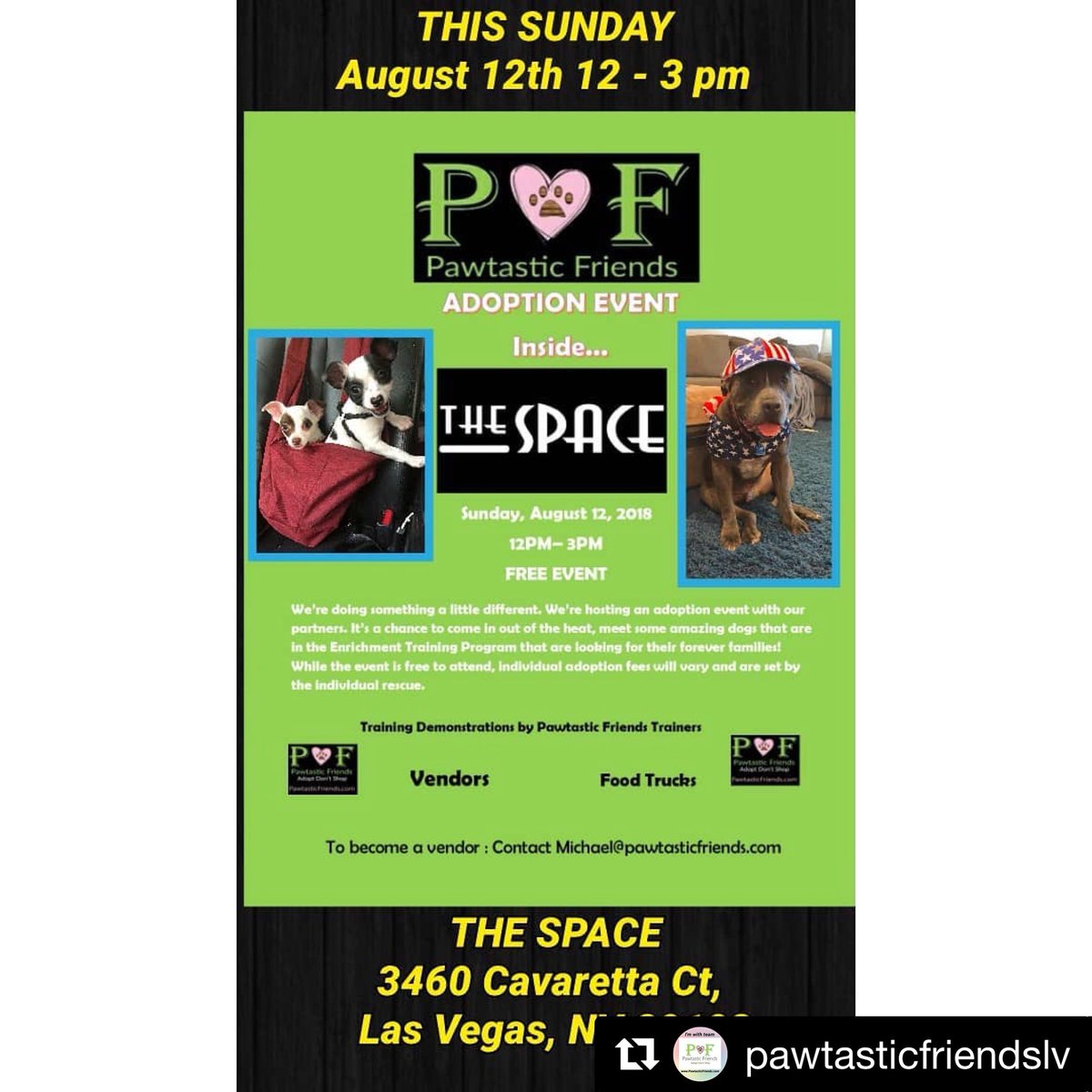 CMDRStrong's tweet photo. @MsDixieDiva8253 @SOCALRE4U We are in Vegas and all these pups will be at a big adoption event at @thespacelv I’ll attach the info. Thanks so much for sharing! 🐾💜🐶 https://t.co/Dw4QW2stnG