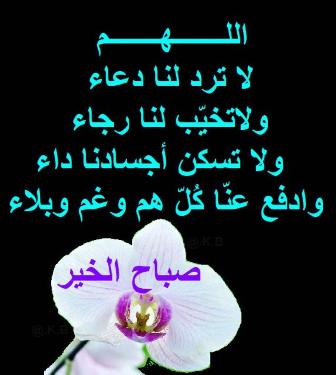 عطر الحروف (@afodz) on Twitter photo 