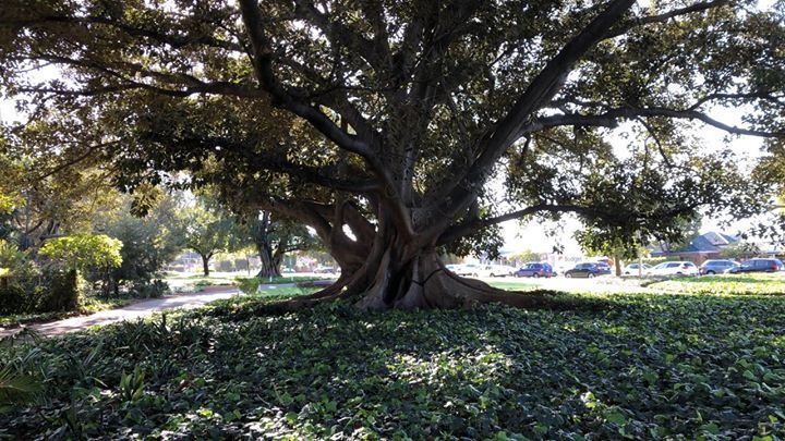 ShortStayDirect's tweet image. ift.tt/2Gnmxkb