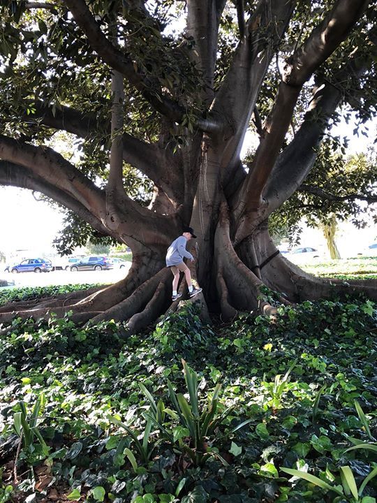 ShortStayDirect's tweet image. ift.tt/2Gnmxkb