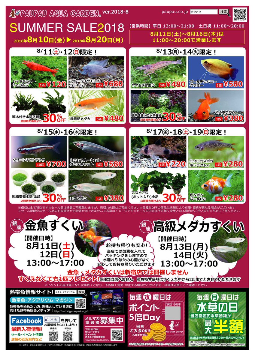 パウパウアクアガーデン 銀座店 Sur Twitter セール ｲｶﾅｷｬ O 三 三 パウパウアクアガーデン銀座店 アクアリウム 熱帯魚 メダカ 海水魚