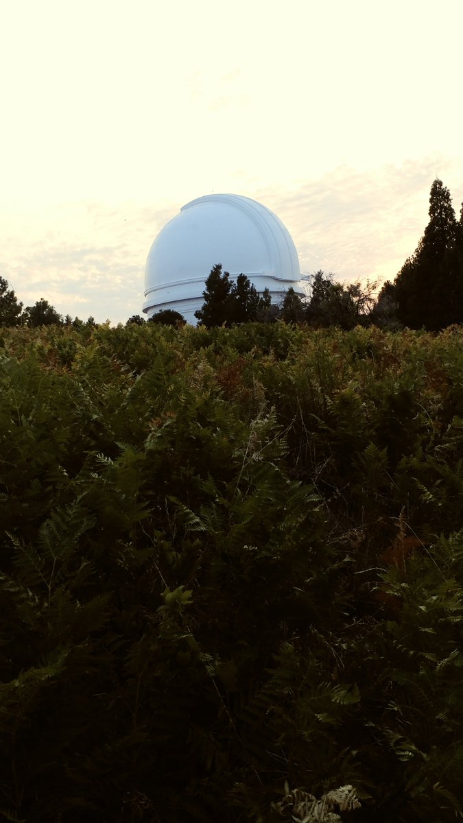 Cutting Edge Cycling