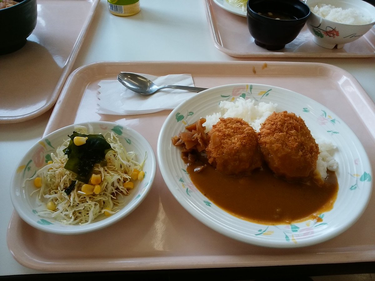 二人娘の父 ただいま減量中 娘のオープンキャンパスの付き添い ご褒美は学食ランチ 1人100円 白梅学園大学 二人娘の父 ただいま減量中 娘のオープンキャンパスの付き添い ご褒美は学食ランチ 1人100円 白梅学園大学