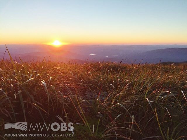 MWObs's tweet photo. Our intern Sarah Thunberg snapped this picture of some of the summits sedges at sunset today. To find out what kind of weather is in store for this weekend, head to https://t.co/nTW5QhHNSU

#nhwx #nh #newengland #newhampshire #whitemountains #whitem… https://t.co/4PXY2SMrC2 https://t.co/tspNiGQHL9