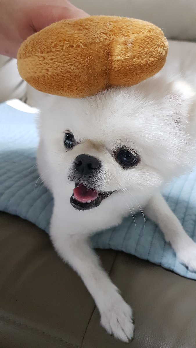 IgNarLoL's tweet photo. 😊 https://t.co/PoBzW61Kd9