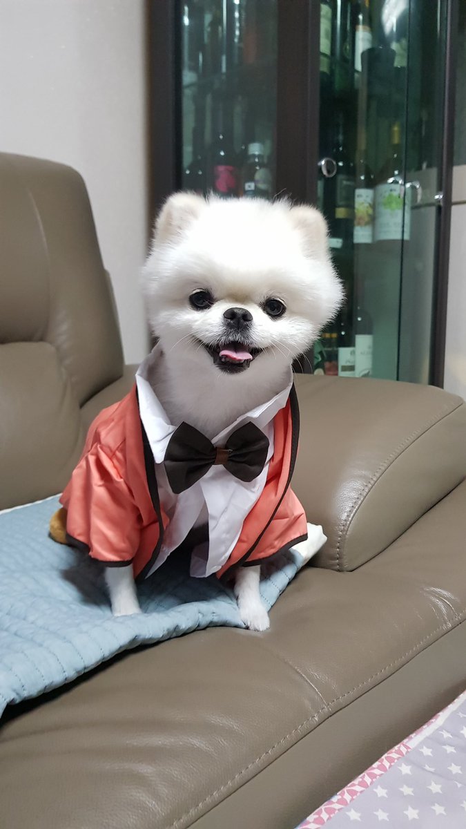 IgNarLoL's tweet photo. 😊 https://t.co/PoBzW61Kd9
