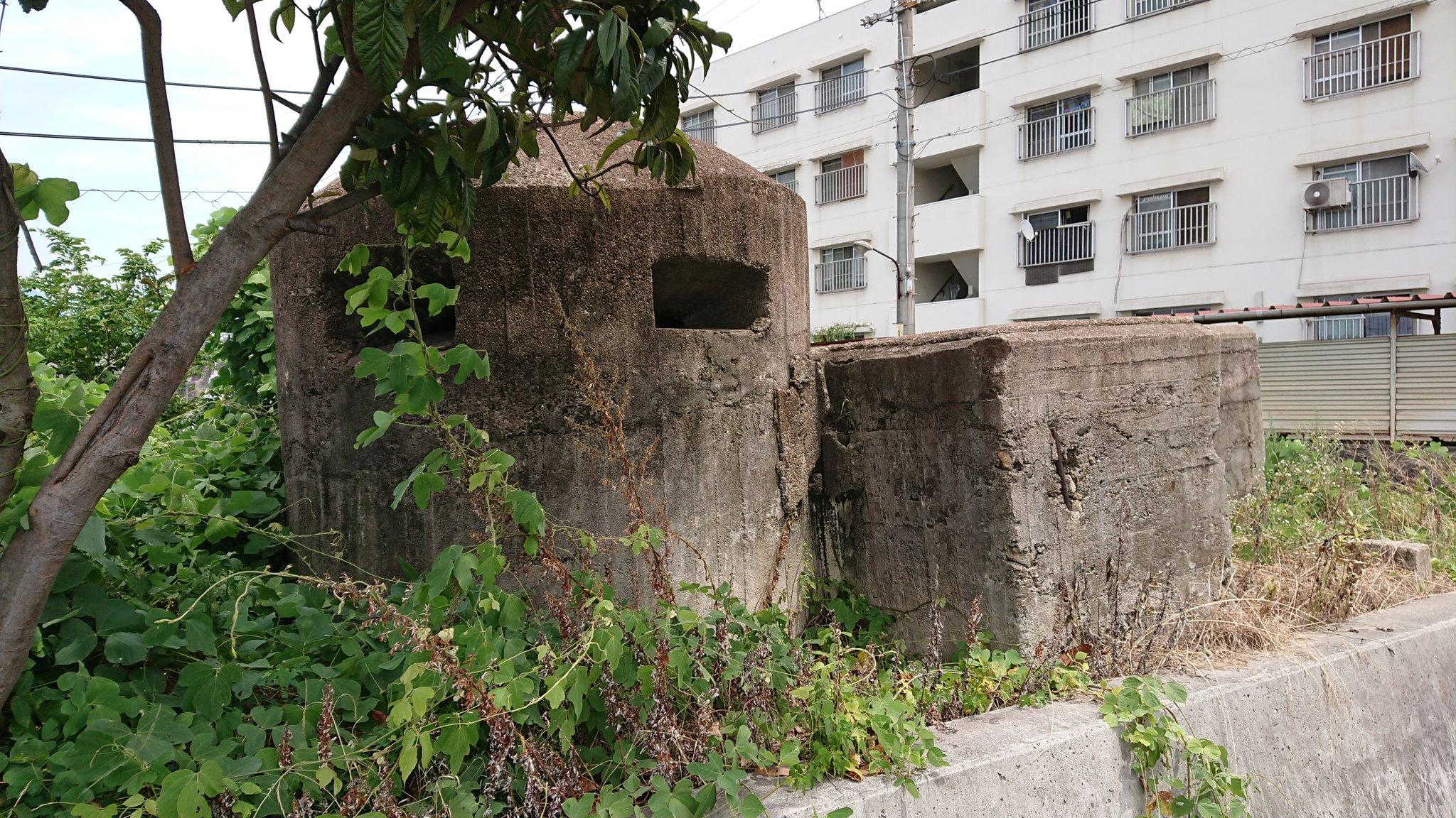 ももいろ乳業 でらっくす 防空監視哨 呉宮原 呉海軍工廠造船部 呉市宮原町の 防空監視哨 暑そうだなぁ 目の前は 呉海軍工廠 造船部 画像4枚目 T Co Gp9pvpufbm Twitter ももいろ乳業 でらっくす 防空監視哨 呉宮原 呉海軍工廠造船部 呉市宮原町の 防空監視哨 暑そうだなぁ 目の前は 呉海軍工廠 造船部 画像4枚目 T Co Gp9pvpufbm Twitter