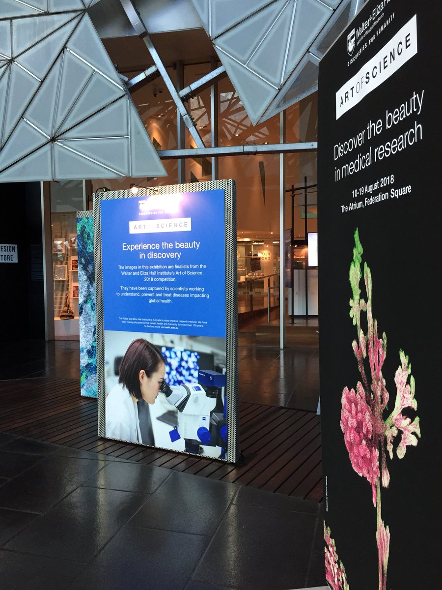 Come visit #ArtOfScience at @FedSquare to view some incredible images that depict the medical research that takes place @WEHI_research! 🔬