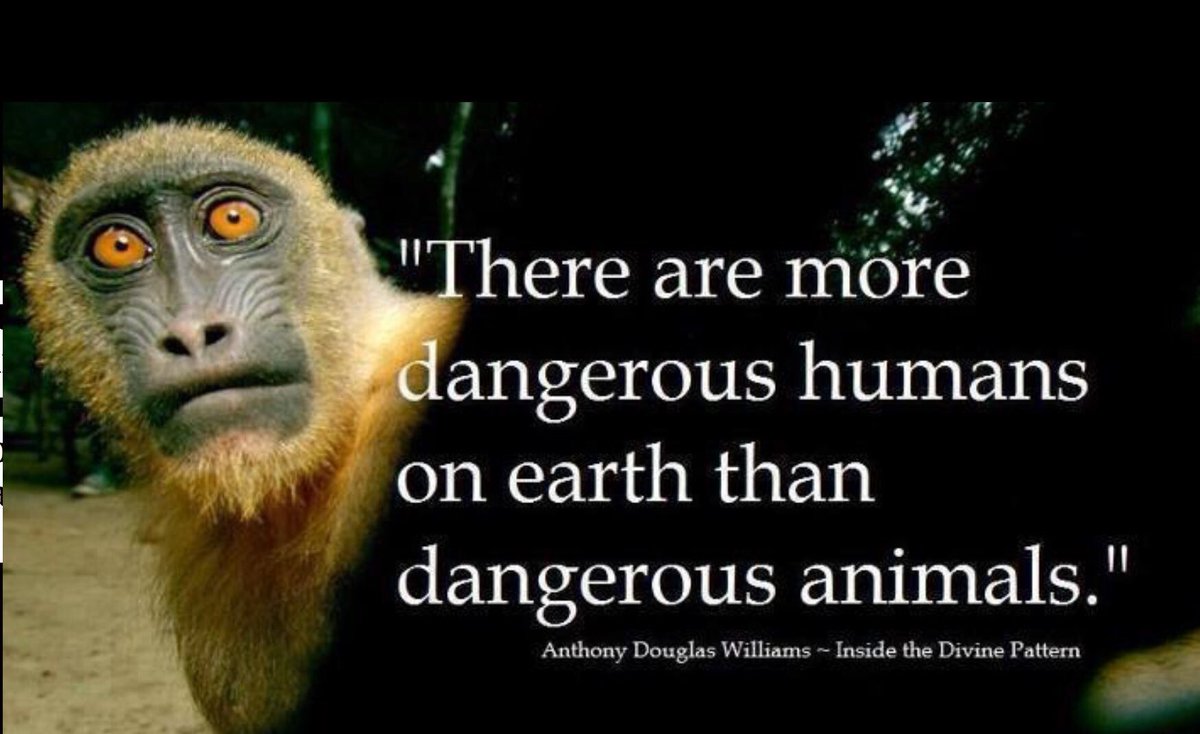 JennKoDesign's tweet photo. @TheHumaneLeague #animals #AnimalCruelty #savelives #betgechange #parenting #teachcompassion #alllivesmatter #GoVegan https://t.co/UEvh1Zih14
