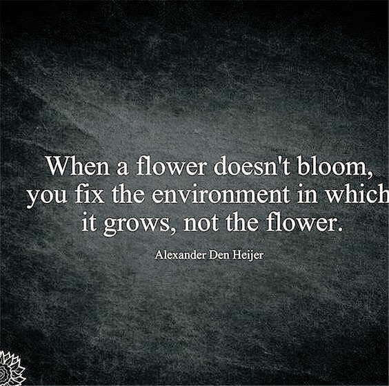 alex_alg1's tweet image. “If a child can't learn the way we teach, maybe we should teach the way they learn.”