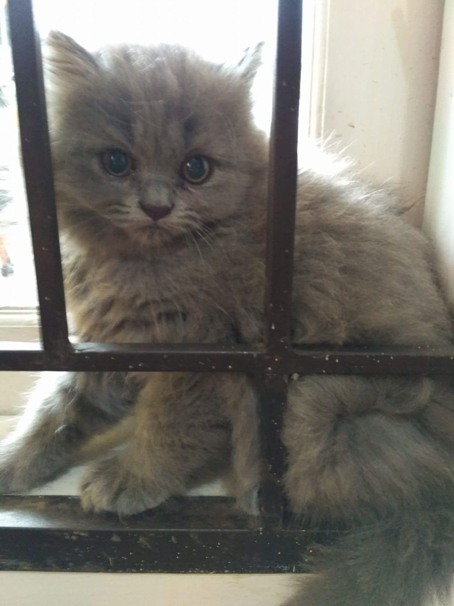 dwpuspitaa's tweet photo. I love you my baby... you're in heaven not in my house yard https://t.co/DBx6wk8THw
