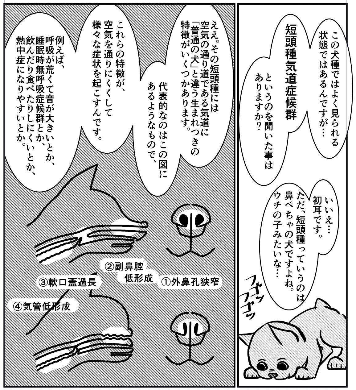 靖えもん En Twitter 犬の熱中症 人だけでなく動物も熱中症になるが 中でも短頭種 いわゆる鼻ぺちゃ系 犬 猫は熱中症になりやすい 理由は鼻が押し縮められてることで息がしにくいから マスクを3重にしてつけてみると 彼らの気持ちがよくわかる 熱中症 靖えもん En Twitter 犬の熱中症 人だけでなく動物も熱中症になるが 中でも短頭種 いわゆる鼻ぺちゃ系 犬 猫は熱中症になりやすい 理由は鼻が押し縮められてることで息がしにくいから マスクを3重にしてつけてみると 彼らの気持ちがよくわかる 熱中症