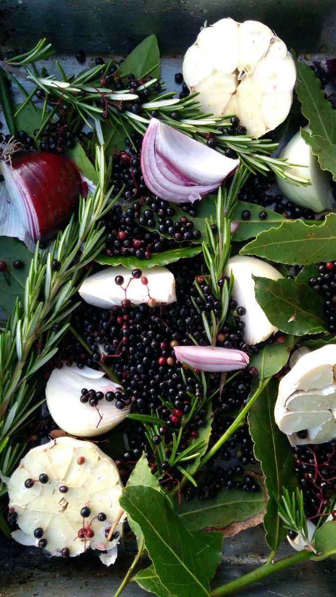 Fantastic community feast last night from <a href="/tan_a_mwg/">Tân a Mwg</a> thanks to everyone who came and dined. Now lets harvest party!