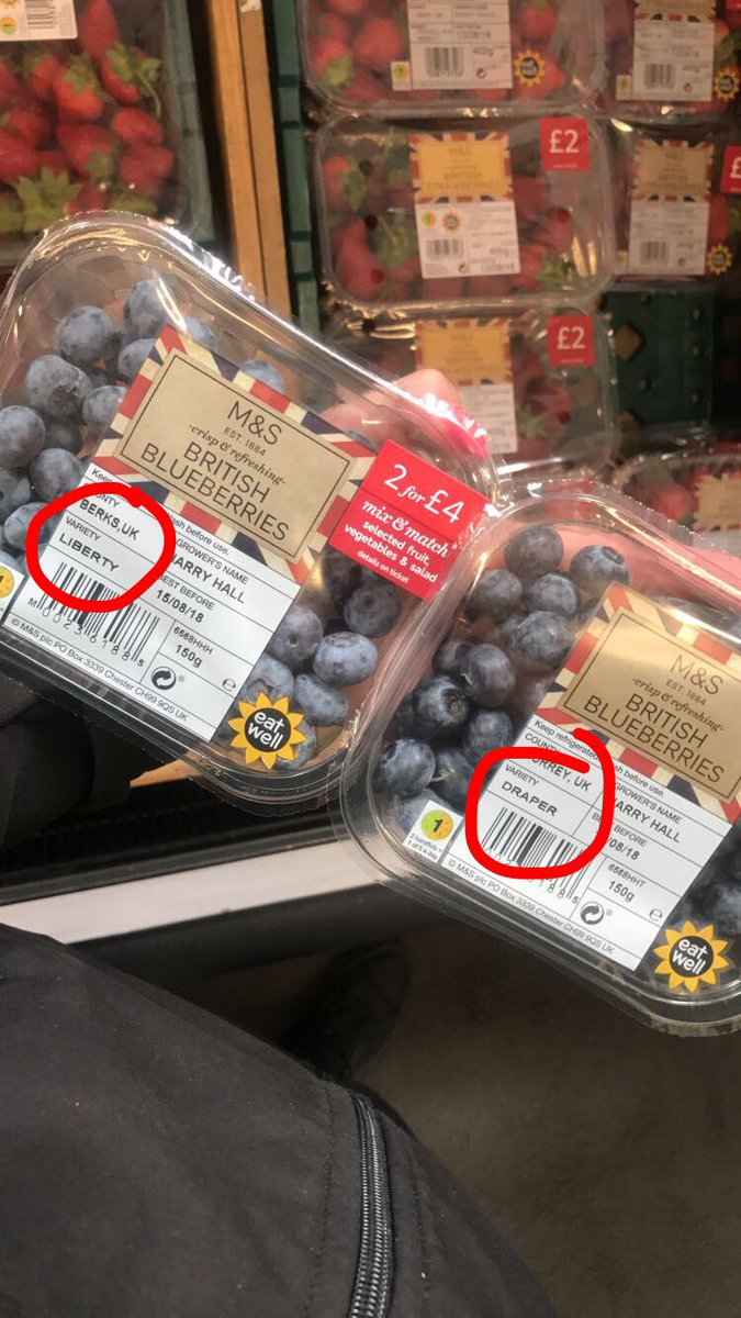 LibertyDraper's tweet image. Someone's gotta be havin me on here