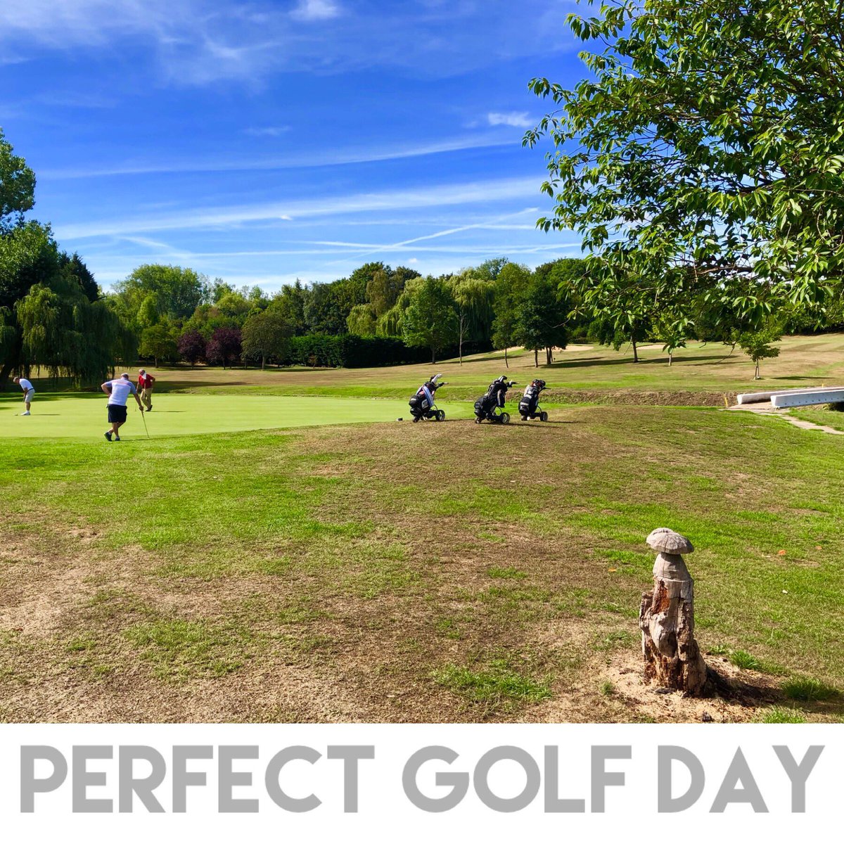 Come on down it is the perfect day today!  #golf #harlow #essex #canonsbrookgolfclub
