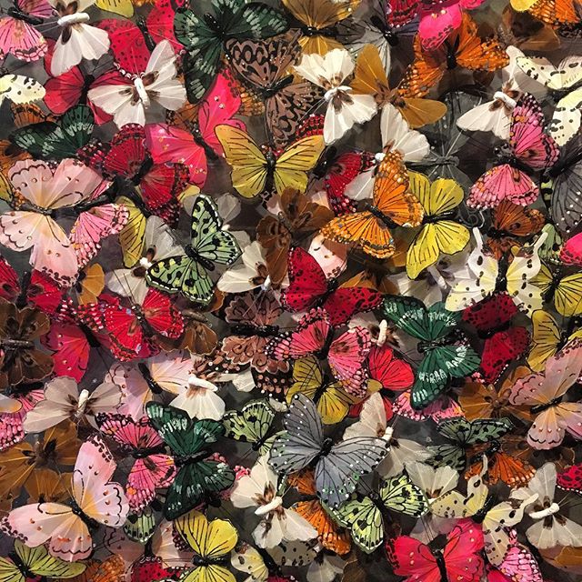 HicksGallery's tweet photo. MICHAEL OLSEN | BUTTERFLY INSTALLATIONS
Very excited to have two new installations from this dynamic artist in the gallery for our Summer Show.... https://t.co/VGU35ImmqV
#michaelolsen #butterfly #installationart #perspexcase #feathers #swarm #artdaily #hicksgallery #artsy https://t.co/LlyuBlPDWL