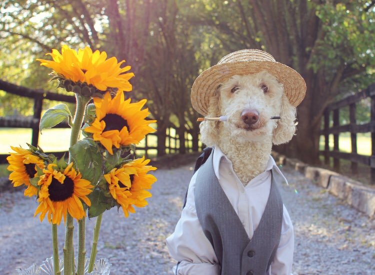 SunFlowerKissU's tweet photo. @pants_leg @BlackGirlInTech You can buy yourself some happiness. https://t.co/DVu0RIBBGe