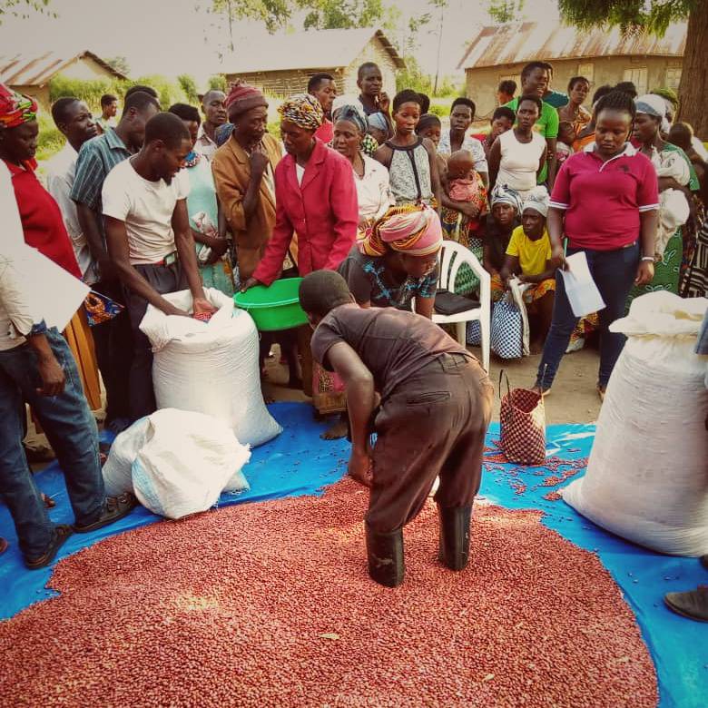 RTVorg's tweet photo. This time of season community members bring back improved seeds and share the love with neighbors
#anklesdeep #givingback #villagestyle #beansbeans #goodforyourheart https://t.co/NeaBAd2Qwj
