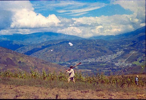 Botisionista tweet media