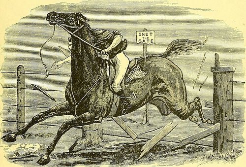 Botisionista tweet media