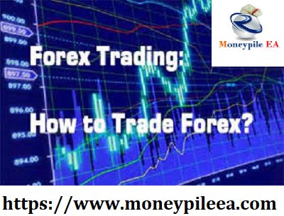 pile_ea's tweet photo. Do you want to know how to #ForeignExchangeTrading work 

For more information visit @ https://t.co/LTQyHopcXr https://t.co/wvatekhVGP
