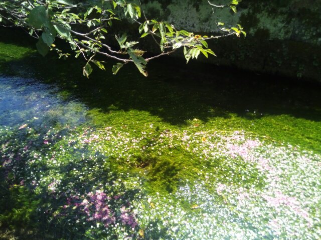cristinmilites tweet picture
