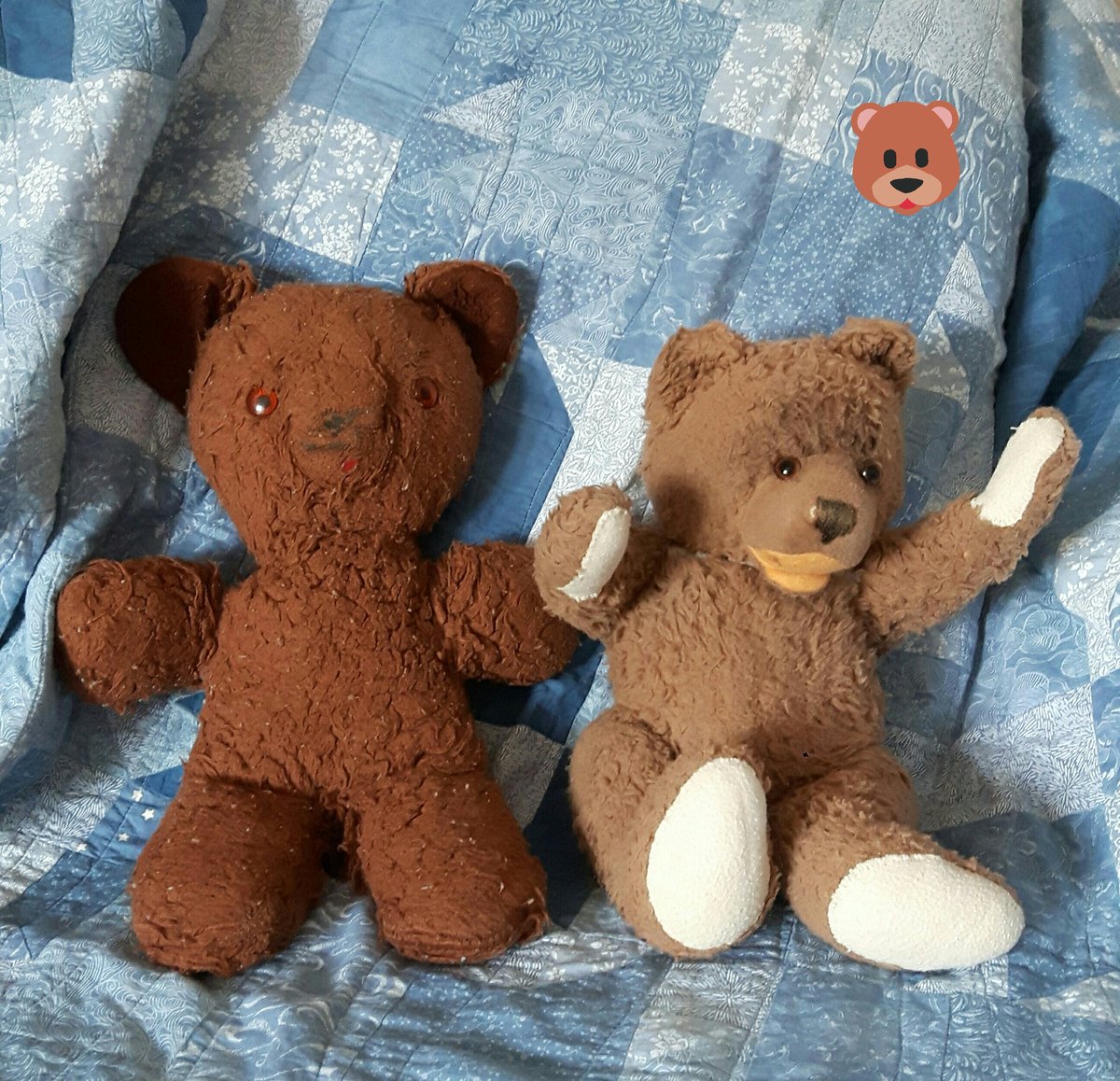 hannelebear's tweet photo. My Hooms' childhood bears: Chocolate (left) and Petzi.
#BearWeek #BearWeekFriends #BearWeekVintage https://t.co/tepA7E9EJe