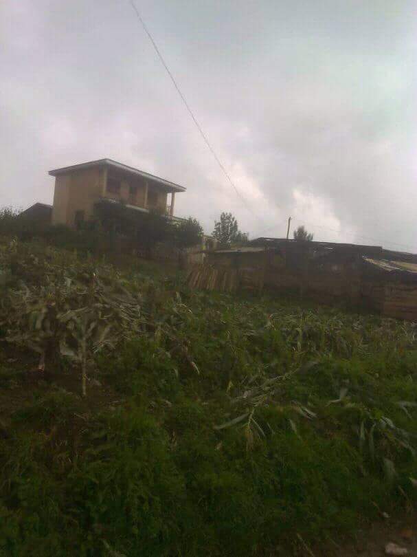 eliesmith's tweet photo. From a Takijah resident:"This is is allegedly what Cameroonian security forces did to the farms around Takijah "Check Point" in Bui . All crops cleared with machetes. The pictures were taken yesterday. Sorry for the poor images". https://t.co/EYcQ0wJ9cb
