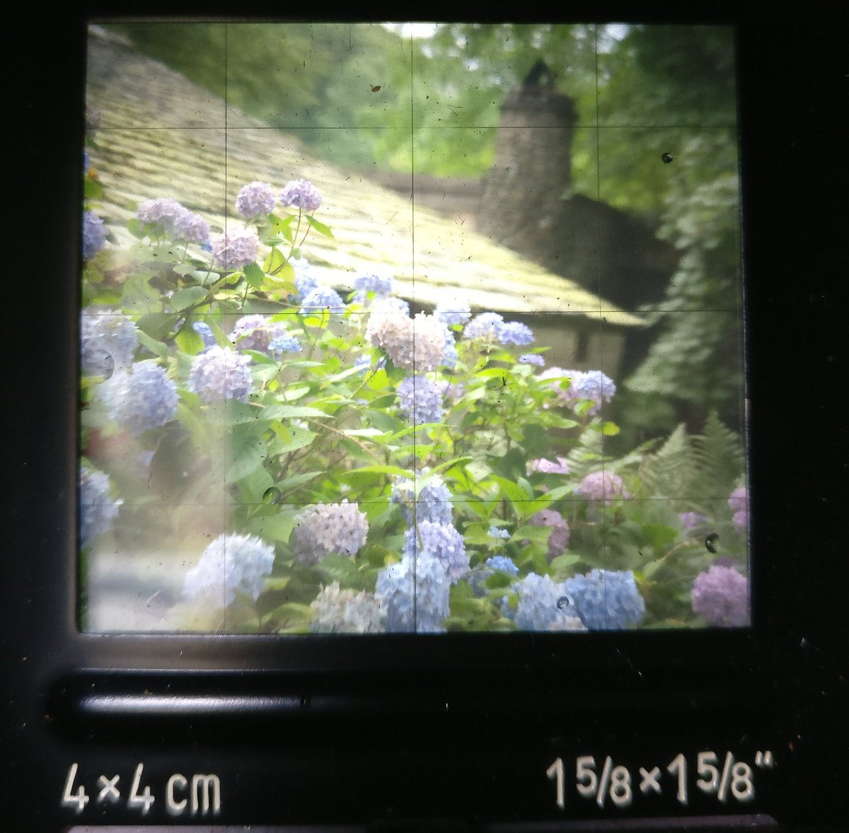 VintagePhotoCo's tweet photo. Looking through some of my shots from a couple of beautiful days in the lakes & a visit to the #Merzbarn - A very special place to me #kurtschwitters #dada #lakedistrict @lakedistrictcumbria @heritagecrafts #analoguephotographer https://t.co/i6k2Scpdoi
