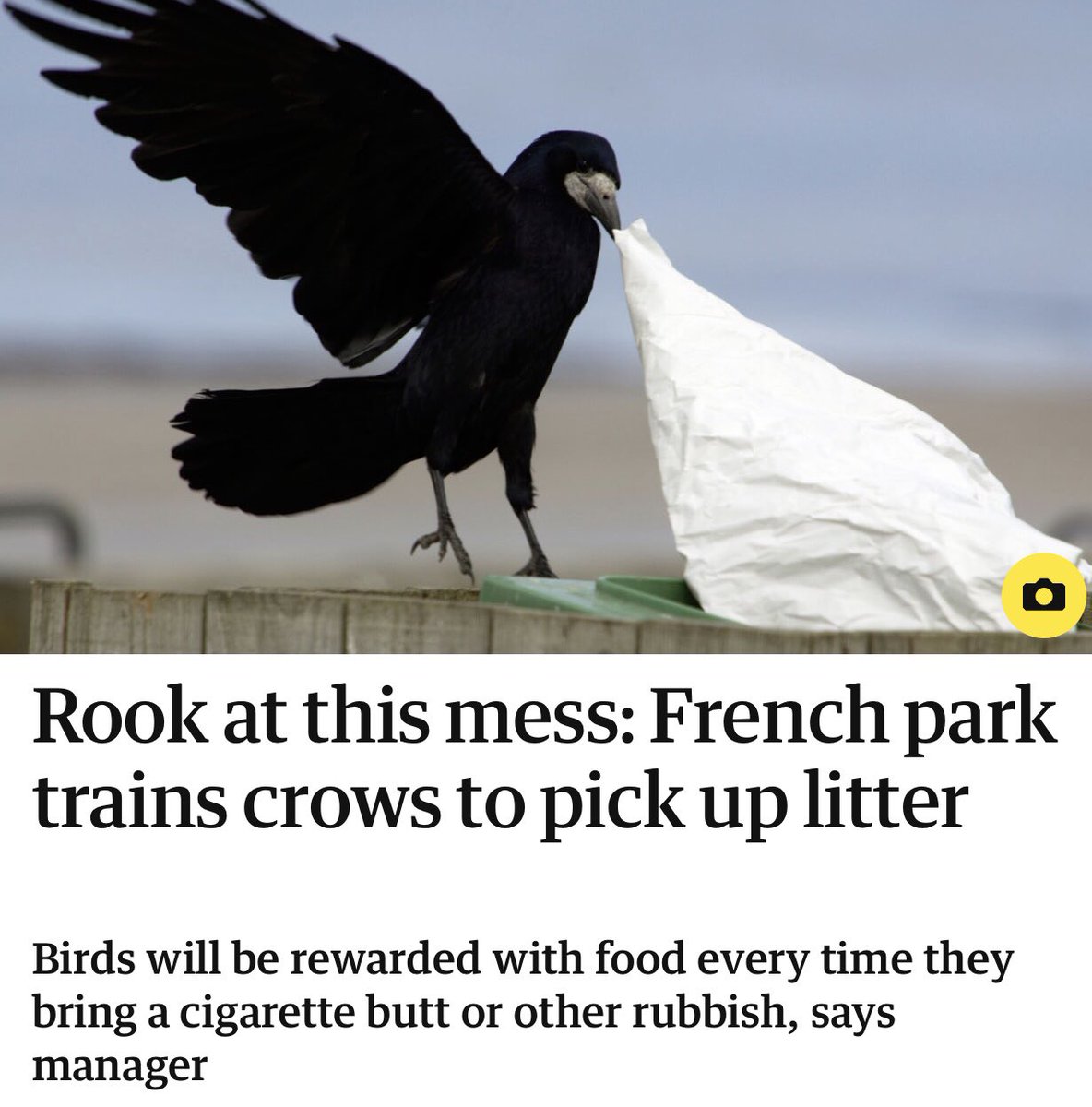 jeff_o_ko's tweet image. Finally some good news #appliedbehaviouralanalysis 🐀