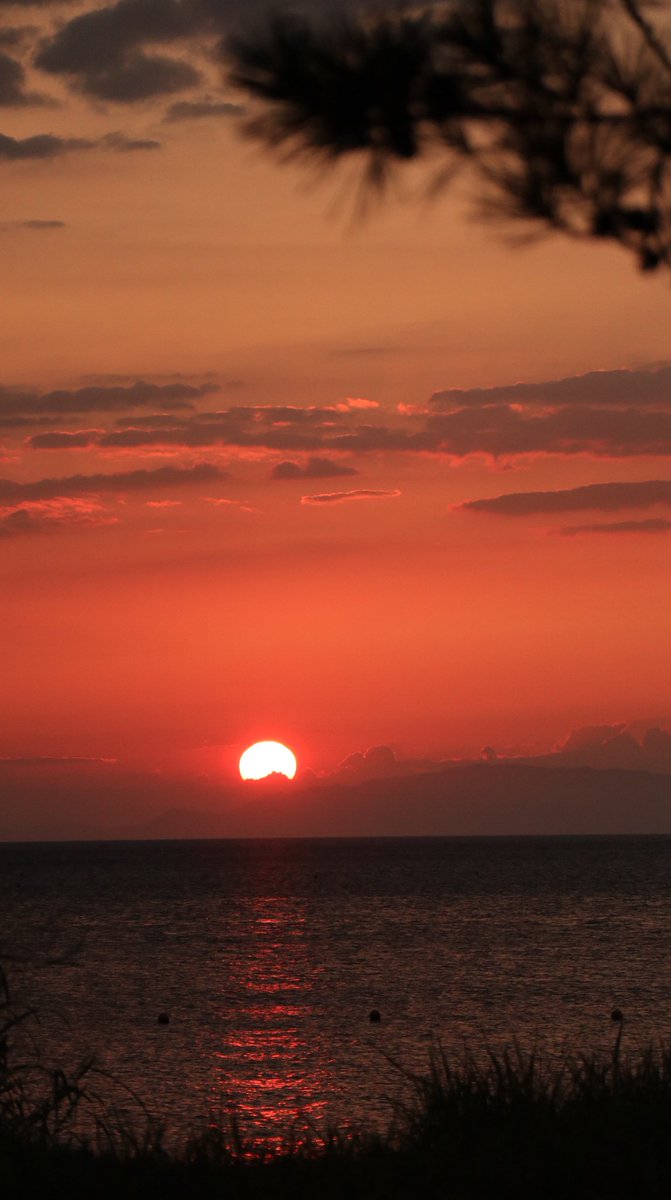 Mi ٩ ๑ ᴗ ๑ ۶ على تويتر 夕日 夕陽 淡路島 南あわじ 慶野松原 夕日百選 恋人の聖地 写真好きな人とつながりたい 写真好きな人と繫がりたい カメラ好きな人と繋がりたい カメラ初心者 写真で伝えたい私の世界 パート ๑ ᵕ ๑ Mi ٩ ๑ ᴗ ๑ ۶ على تويتر 夕日 夕陽 淡路島 南あわじ 慶野松原 夕日百選 恋人の聖地 写真好きな人とつながりたい 写真好きな人と繫がりたい カメラ好きな人と繋がりたい カメラ初心者 写真で伝えたい私の世界 パート ๑ ᵕ ๑