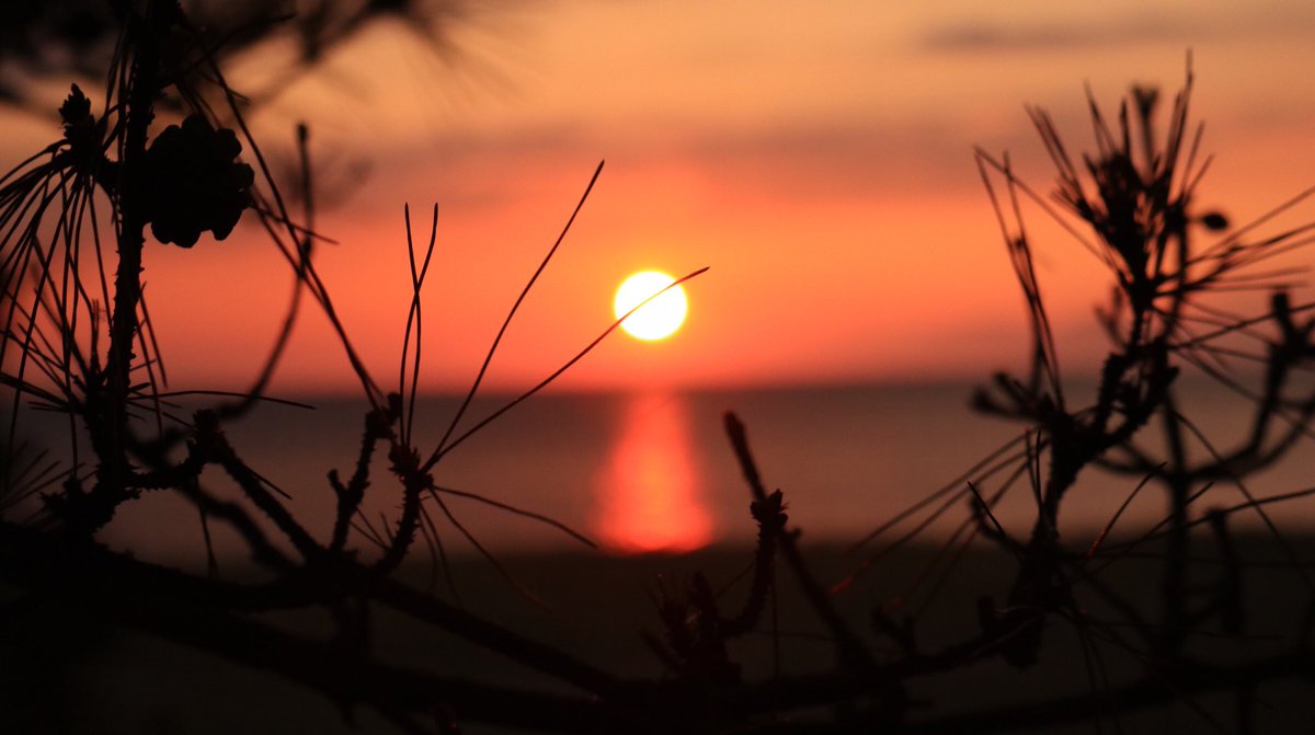 Mi ٩ ๑ ᴗ ๑ ۶ على تويتر 夕日 夕陽 淡路島 南あわじ 慶野松原 夕日百選 恋人の聖地 写真好きな人とつながりたい 写真好きな人と繫がりたい カメラ好きな人と繋がりたい カメラ初心者 写真で伝えたい私の世界 パート ๑ ᵕ ๑ Mi ٩ ๑ ᴗ ๑ ۶ على تويتر 夕日 夕陽 淡路島 南あわじ 慶野松原 夕日百選 恋人の聖地 写真好きな人とつながりたい 写真好きな人と繫がりたい カメラ好きな人と繋がりたい カメラ初心者 写真で伝えたい私の世界 パート ๑ ᵕ ๑