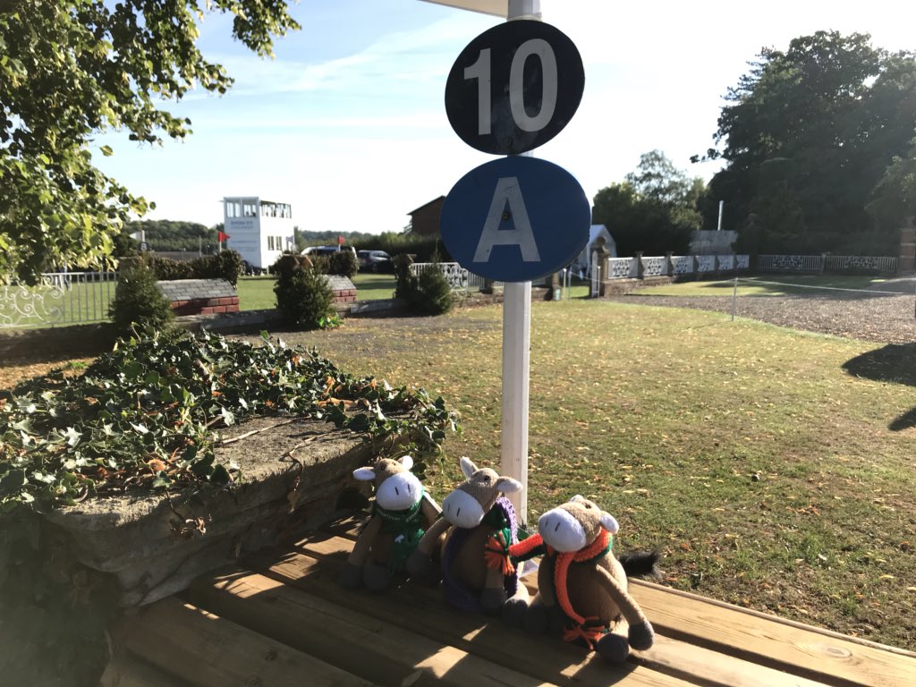 JustMsHannah's tweet photo. Monteberry & his friends all in position and ready for the action to begin @HartpuryHT @BEventing @BEVolunteers
#FJLife https://t.co/OyJ3qE71aF