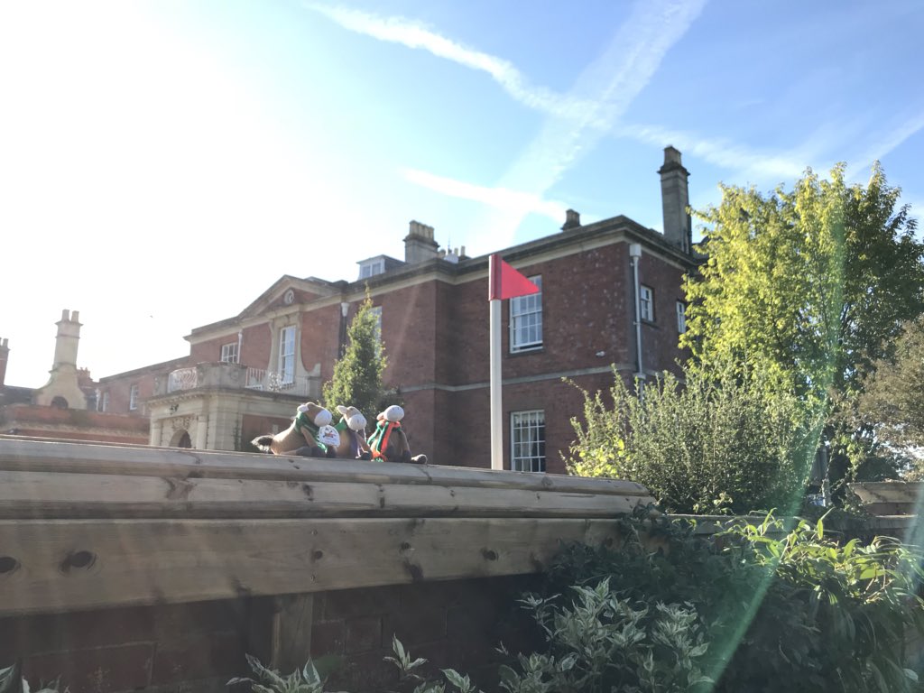 Monteberry &amp; his friends all in position and ready for the action to begin @HartpuryHT <a href="/BEventing/">British Eventing</a> <a href="/BEVolunteers/">BEVolunteers</a> 
#FJLife