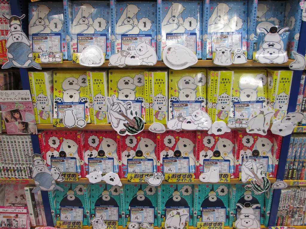 アニメイト熊谷 ５周年記念 アニメイト熊谷店５周年記念フェア くまクマフェア が開催中メラ 恋するシロクマ を購入されたお客様にメッセージペーパーをプレゼントしています 店内には恋するシロクマコーナーが展開中 豪華なフェアは８