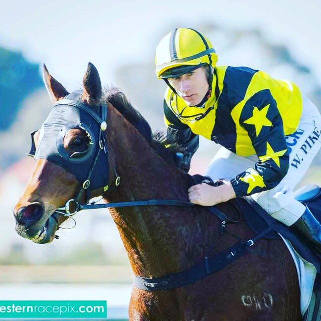 wesmartin24's tweet image. Make that 4 in a row                 🐯🐯🐯🐯,awesome effort Adam and the team at Durrant Racing @Ryan7O7Connor , and W Pike your a ⭐️ #BattleTorque