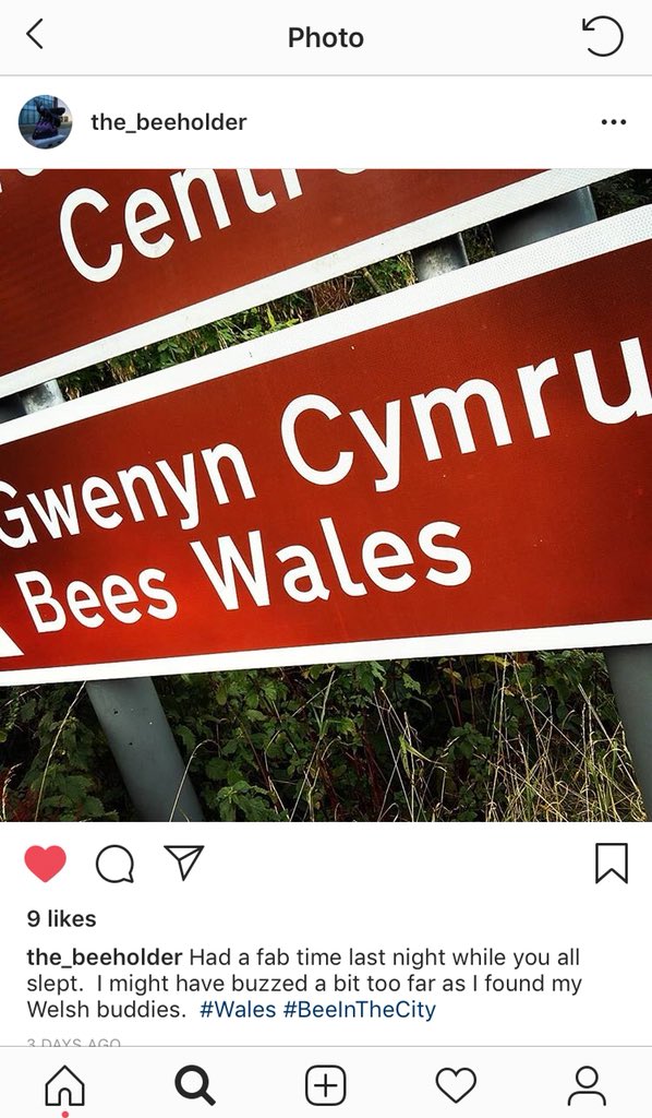 The_Beeholder's tweet photo. Bore da! Bees Wales 👀 @foecymrucydd 🏴󠁧󠁢󠁷󠁬󠁳󠁿🏴󠁧󠁢󠁷󠁬󠁳󠁿 #BeeInTheCityMCR #Manchester #Wales #bee #BeeHolder #BeeInTheCityMCR #MancMade buzz buzz 🐝🐝🐝 Fly over for a high-5! sometimes, bee here until 23SEP see ya soon 🐝 🐝🐝 https://t.co/F09KG56HqX