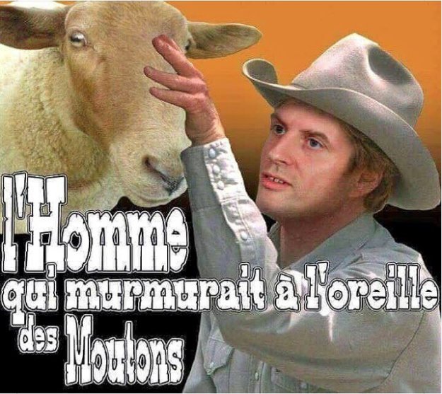 LalobaRose's tweet photo. Avec la politique de ce gvt qui mène le pays droit dans le mur, il faut croire que ceux qui soutiennent encore l'#Imposteur sont de véritables moutons décérébrés. Baisse du pouvoir d'achat, chômage qui ne baisse pas, croissance en berne, cadeaux par milliards aux plus riches etc https://t.co/CYq6F04vXq